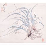 A Chinese 'Orchid' scroll painting, watercolour on paper, seal marks and signature reading Zhang Bo