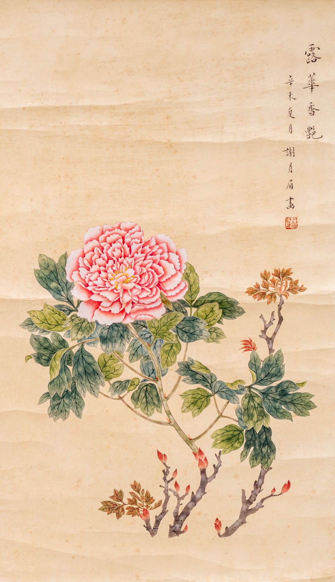 A Chinese 'Peony' scroll painting, watercolour on paper, signature reading Xie Yue Mei, 33 x 57 cm