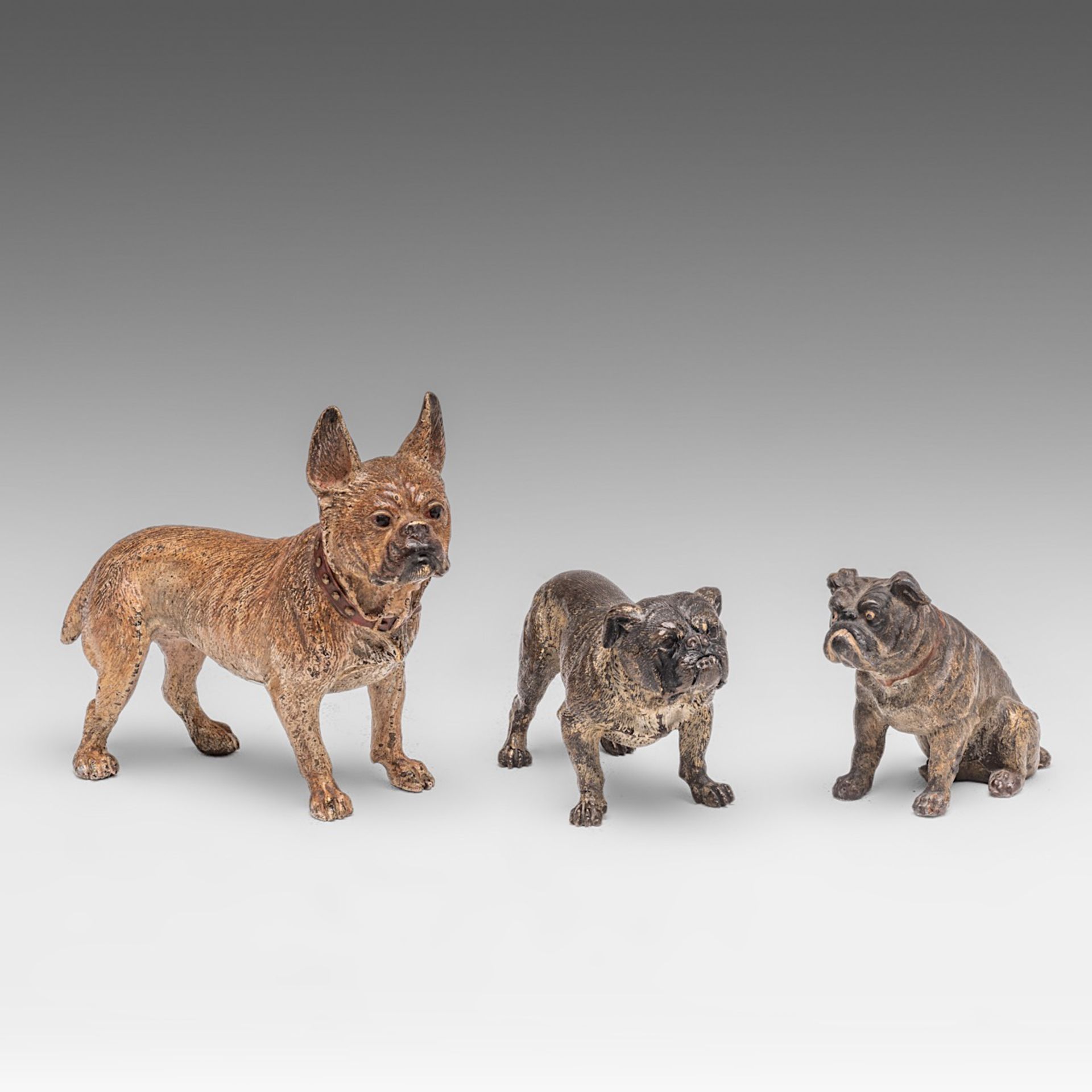 Three Vienna cold-painted bronze bulldog figures, ca. 1900, H 6 - 11,5 cm