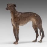 A Vienna cold-painted bronze greyhound figure, Bergmann company, ca. 1900, H 13 - W 15,5 cm
