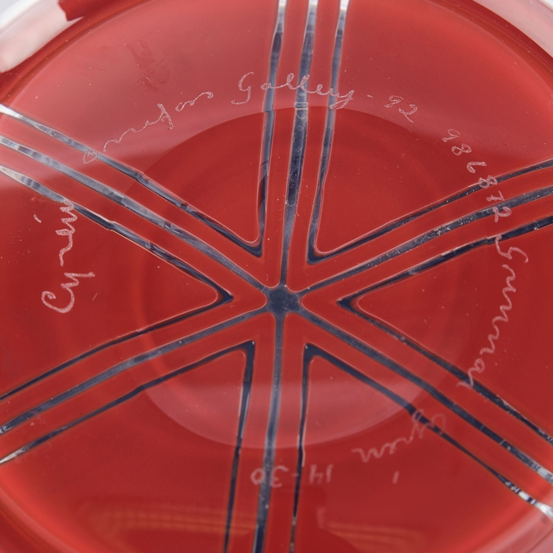 Cyrén, Gunnar, Orrefors, Fußschale, Studioglas, limitierte Auflage, roter Überfangdekor mit Vogelre - Bild 2 aus 2