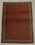 Malayer, Iran, alt, ca. 1.70 x 1.20 m