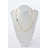 Perlenkette, Verschluss WG 585, mit kl. Perle, Perlen 7.5 mm, Länge ca. 41.5 cm