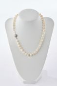 Perlenkette, Verschluss WG 585, mit kl. Perle, Perlen 7.5 mm, Länge ca. 41.5 cm