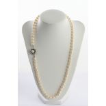Perlenkette, Schließe WG, 750, mit Saphiren und Perle, ca. 7mm Perle, Länge ca. 57cm