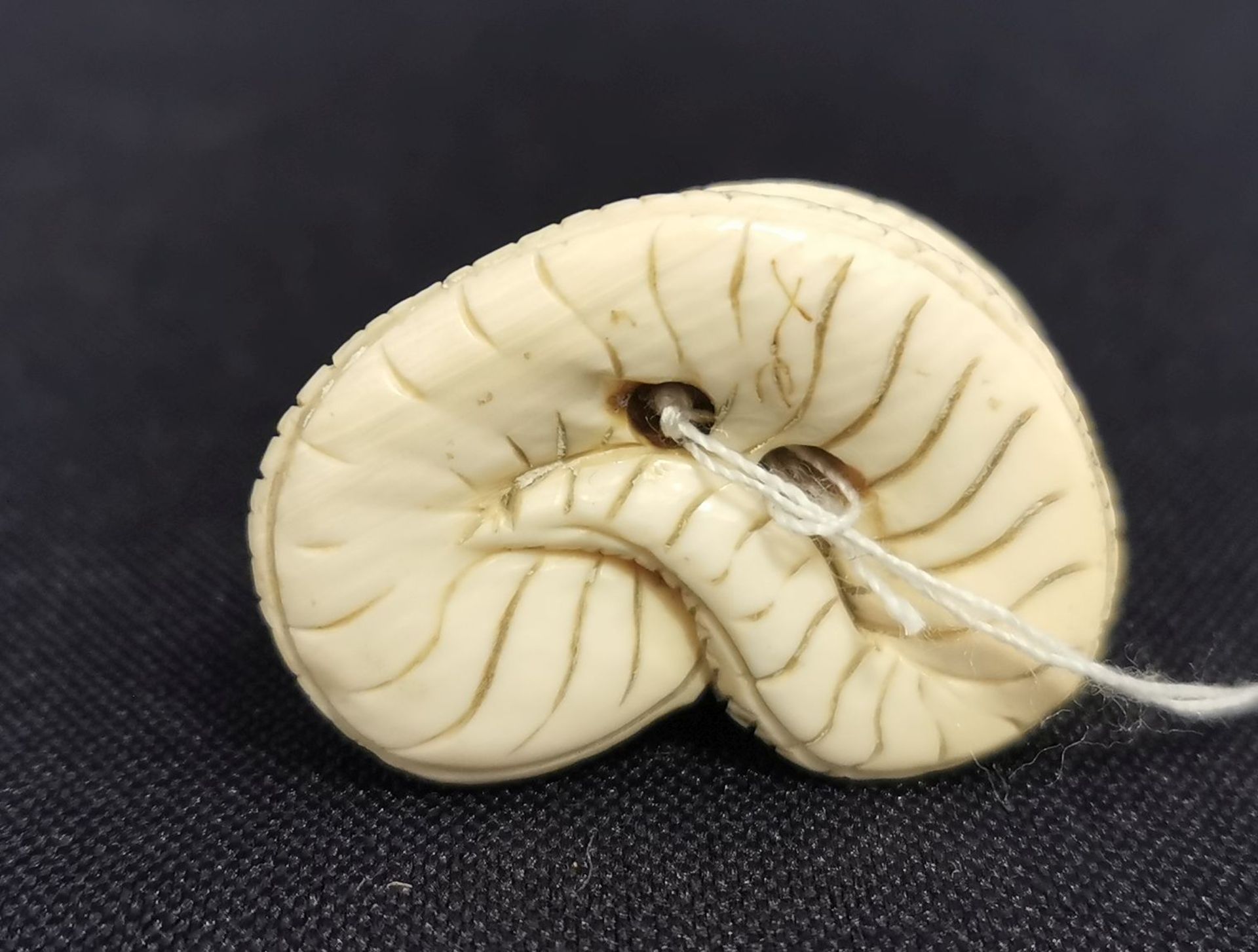 NETSUKE: SCHLANGE - Bild 2 aus 2