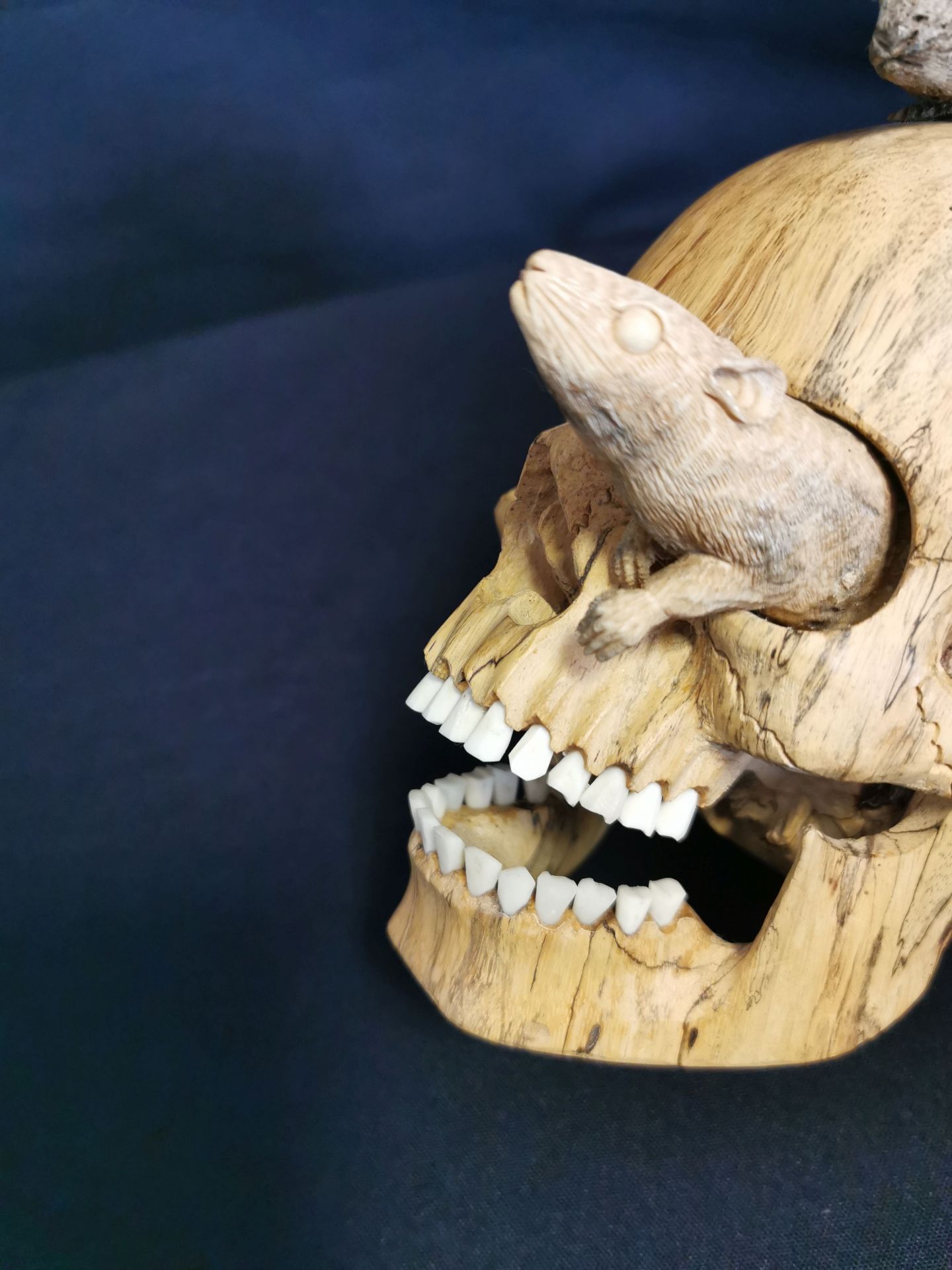 SKULPTUR: SCHÄDEL MIT MÄUSEN - Bild 5 aus 7