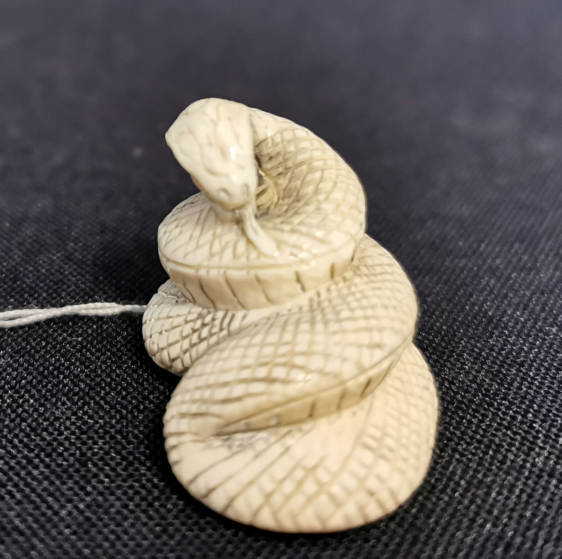 NETSUKE: SCHLANGE