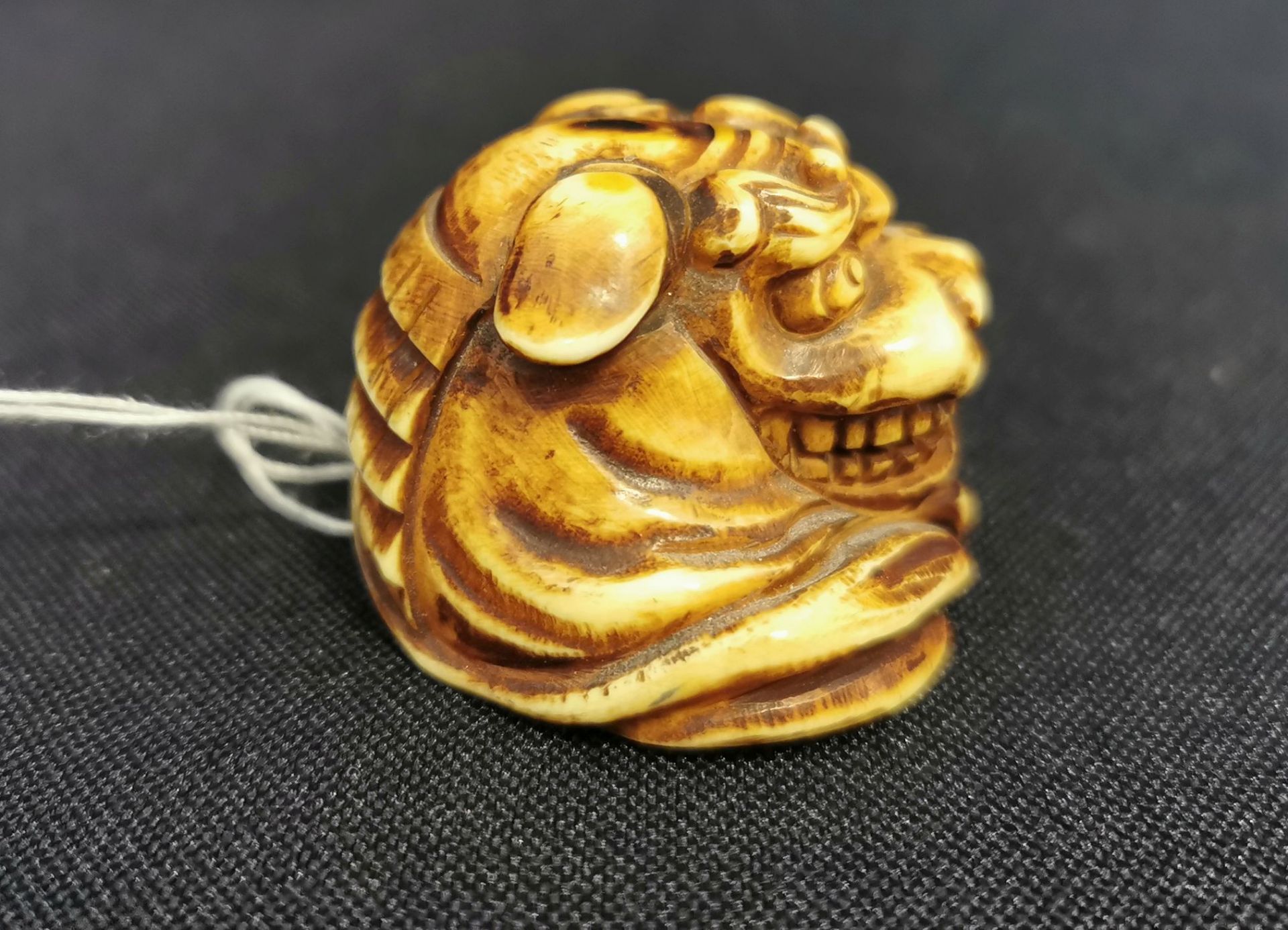 NETSUKE: SHISHI-KOPF - Bild 2 aus 5