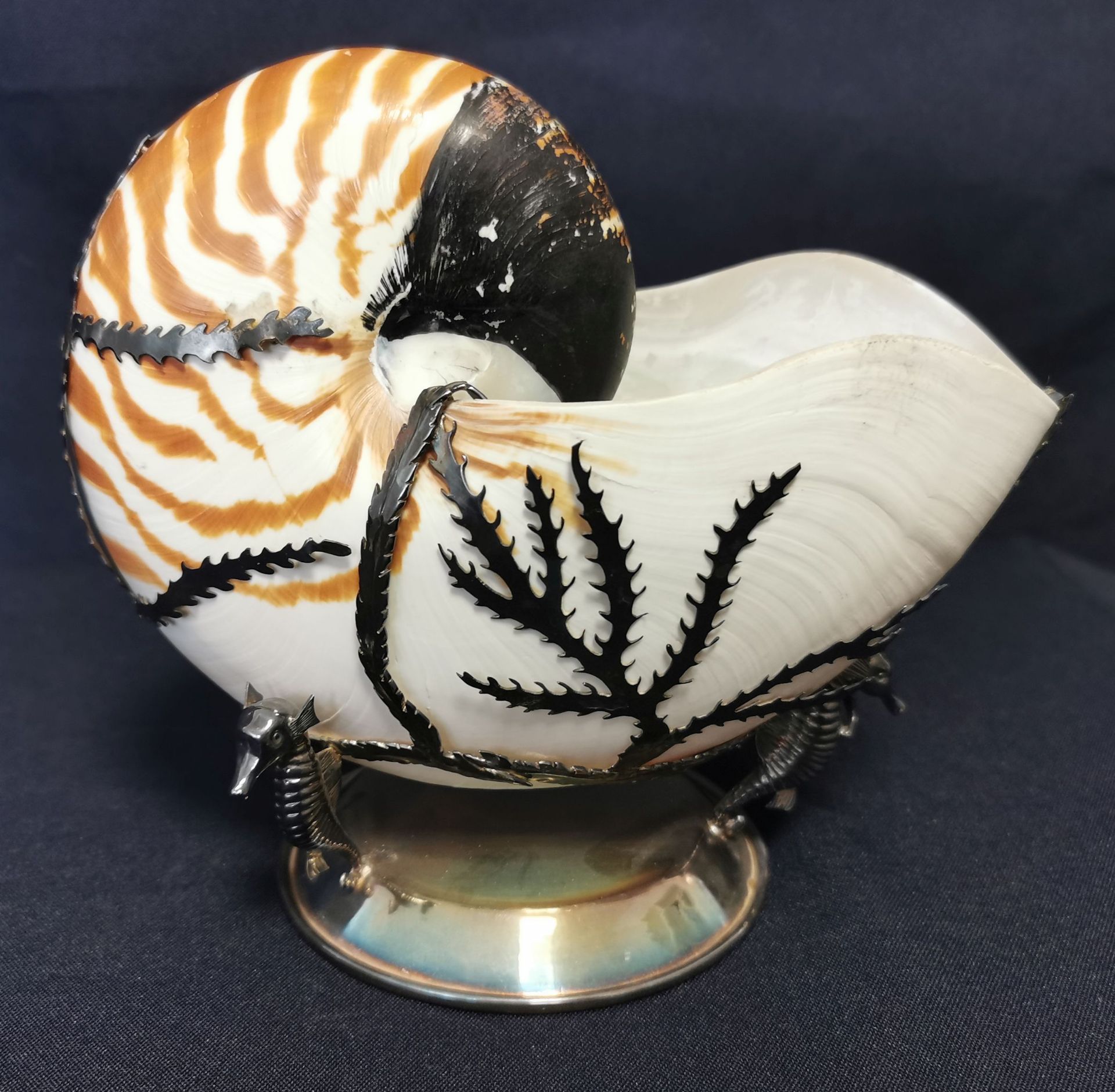 NAUTILUS-SCHALE - Bild 4 aus 5