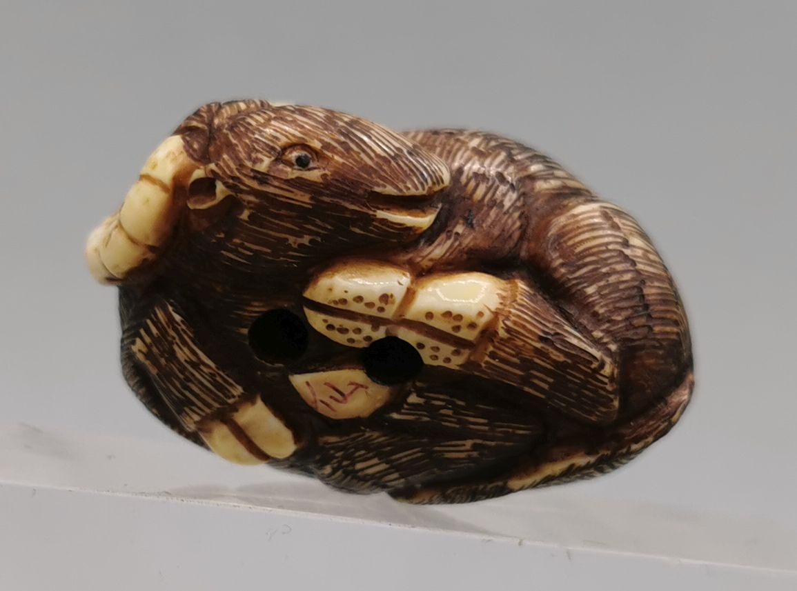 NETSUKE: LYING BUFFALO - Image 6 of 7