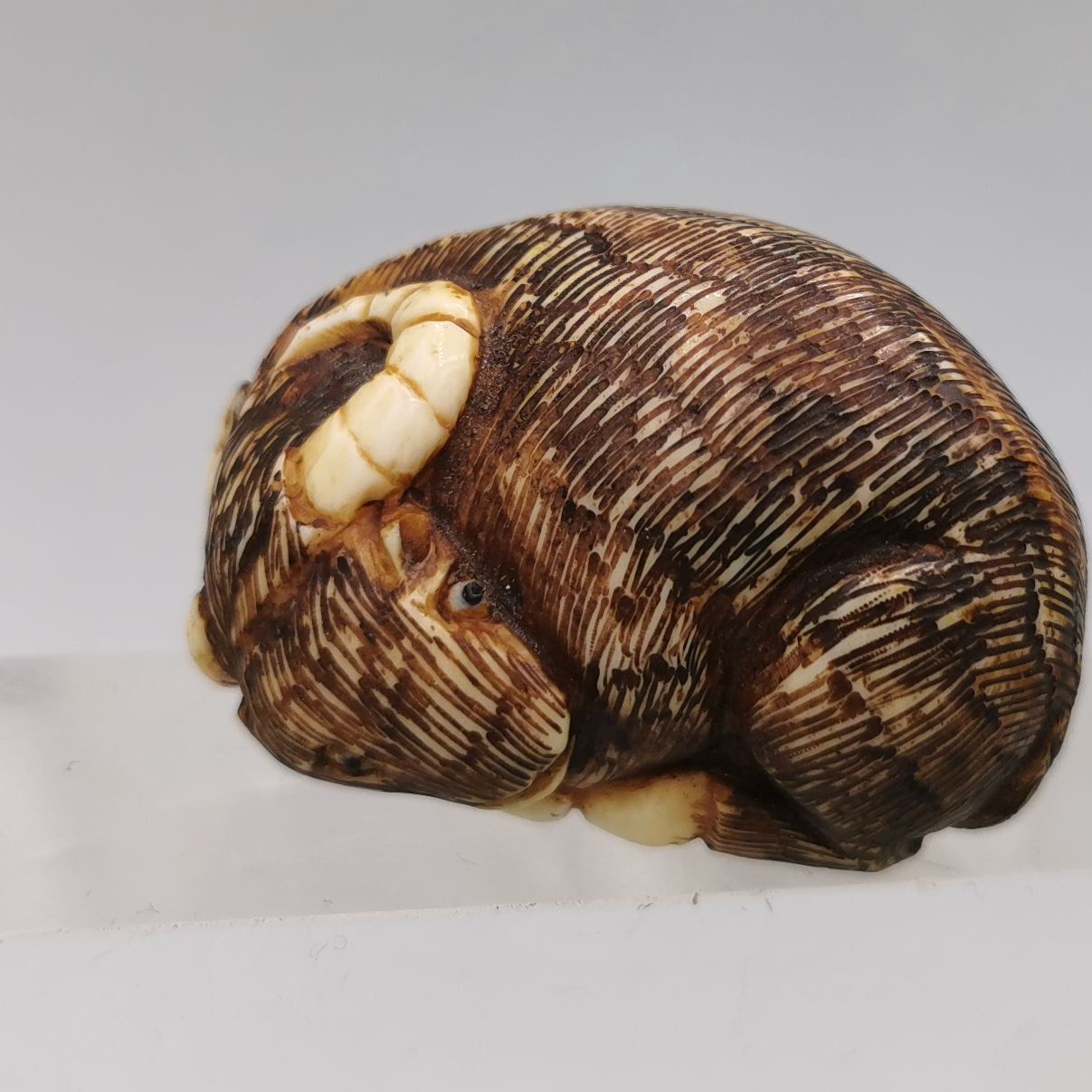 NETSUKE: LYING BUFFALO - Image 5 of 7