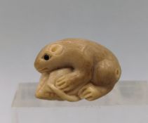 NETSUKE: MAUS MIT MAISKOLBEN