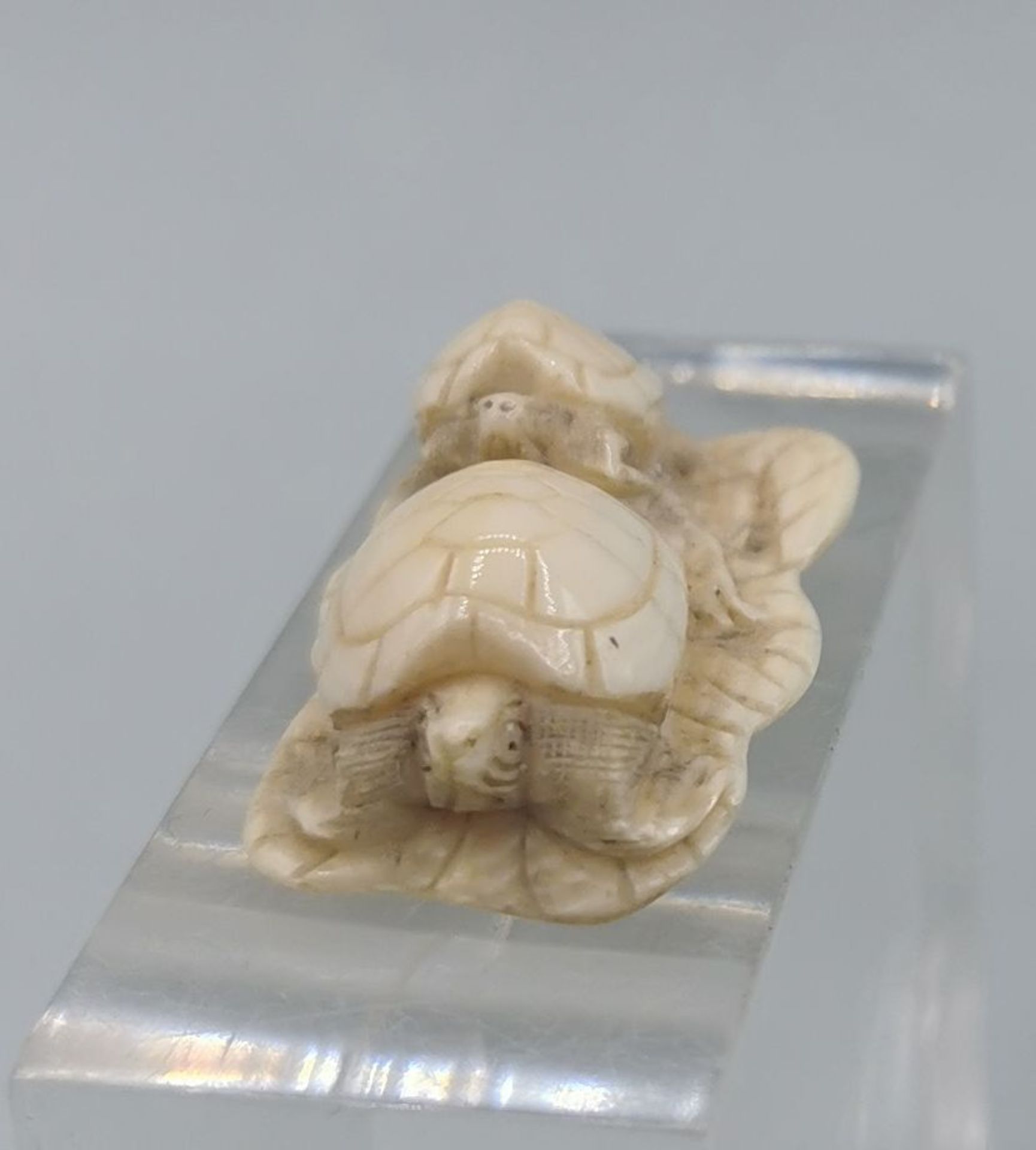 NETSUKE:  TURTLES - Image 2 of 5