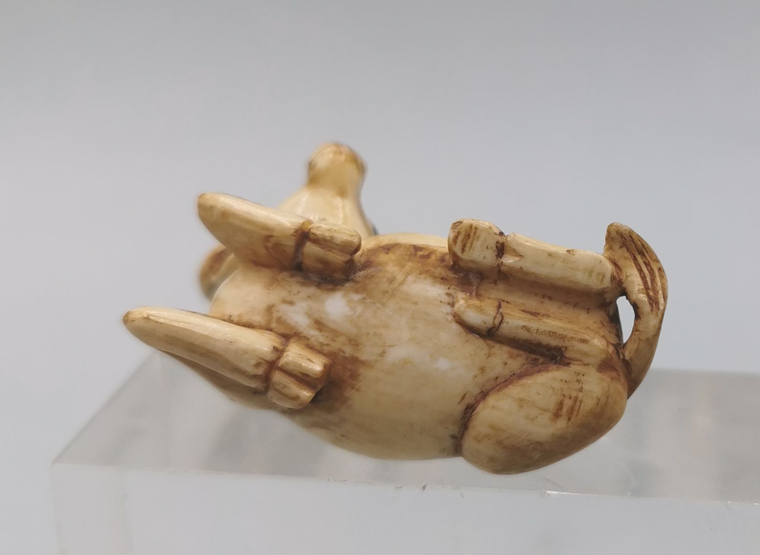 NETSUKE / OKIMONO: LYING BUFFALO - Image 6 of 6