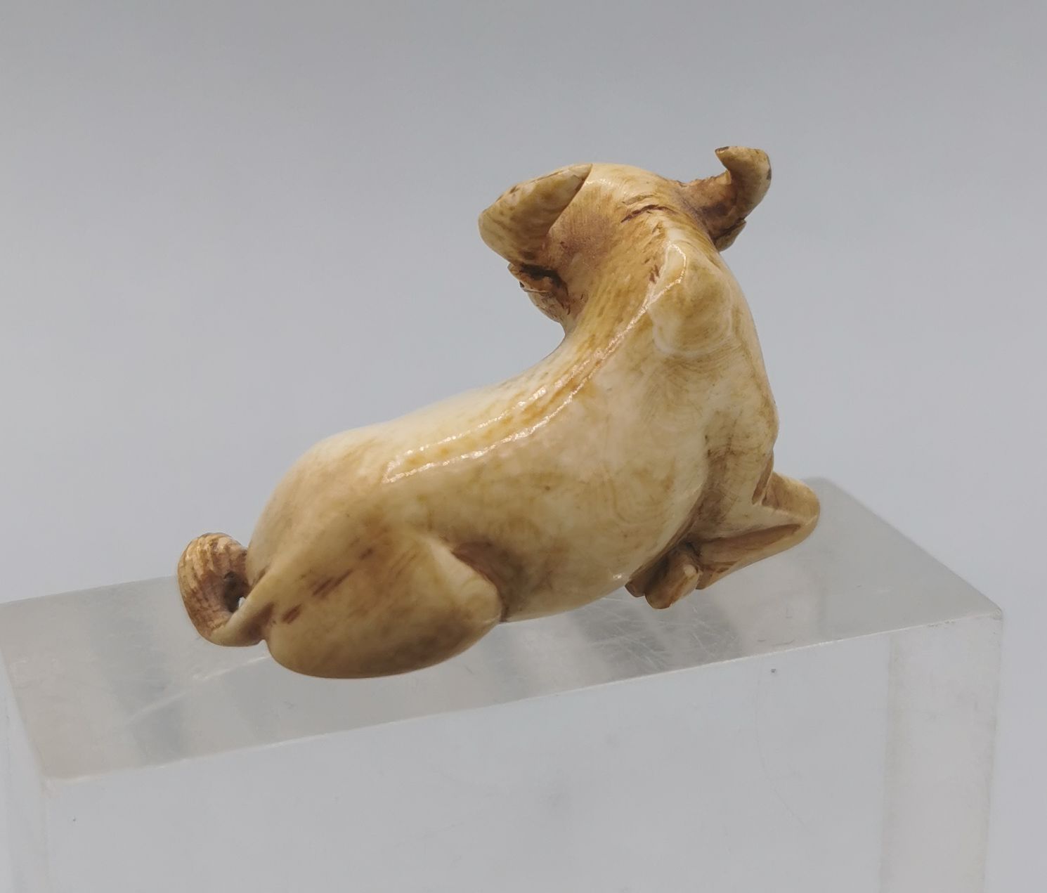 NETSUKE / OKIMONO: LYING BUFFALO - Image 3 of 6