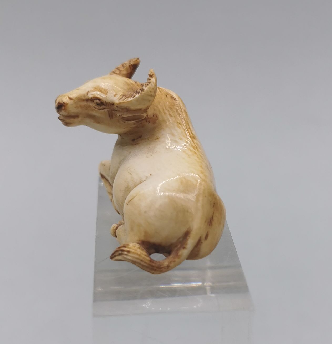 NETSUKE / OKIMONO: LYING BUFFALO - Image 2 of 6