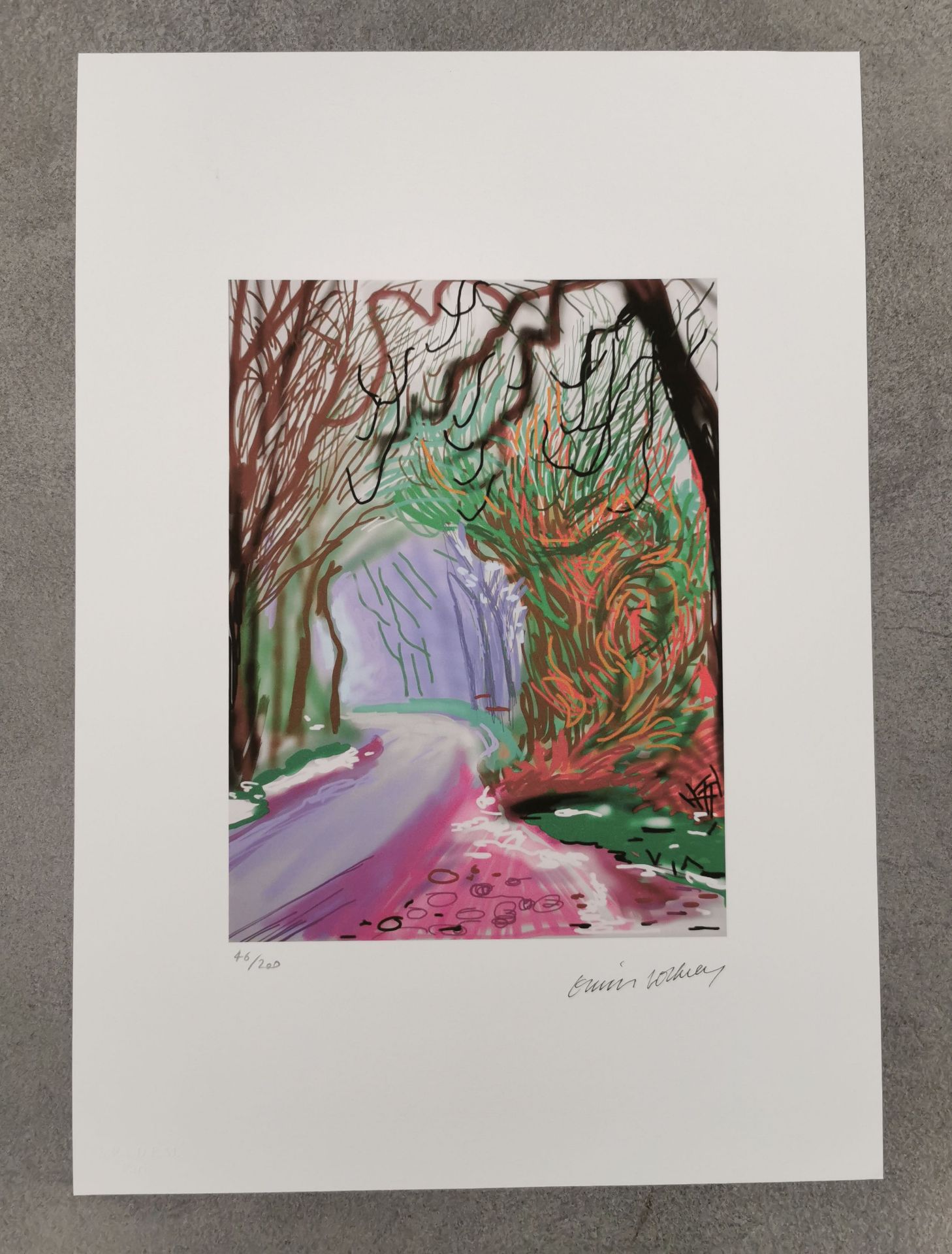 DAVID HOCKNEY GRAFIK