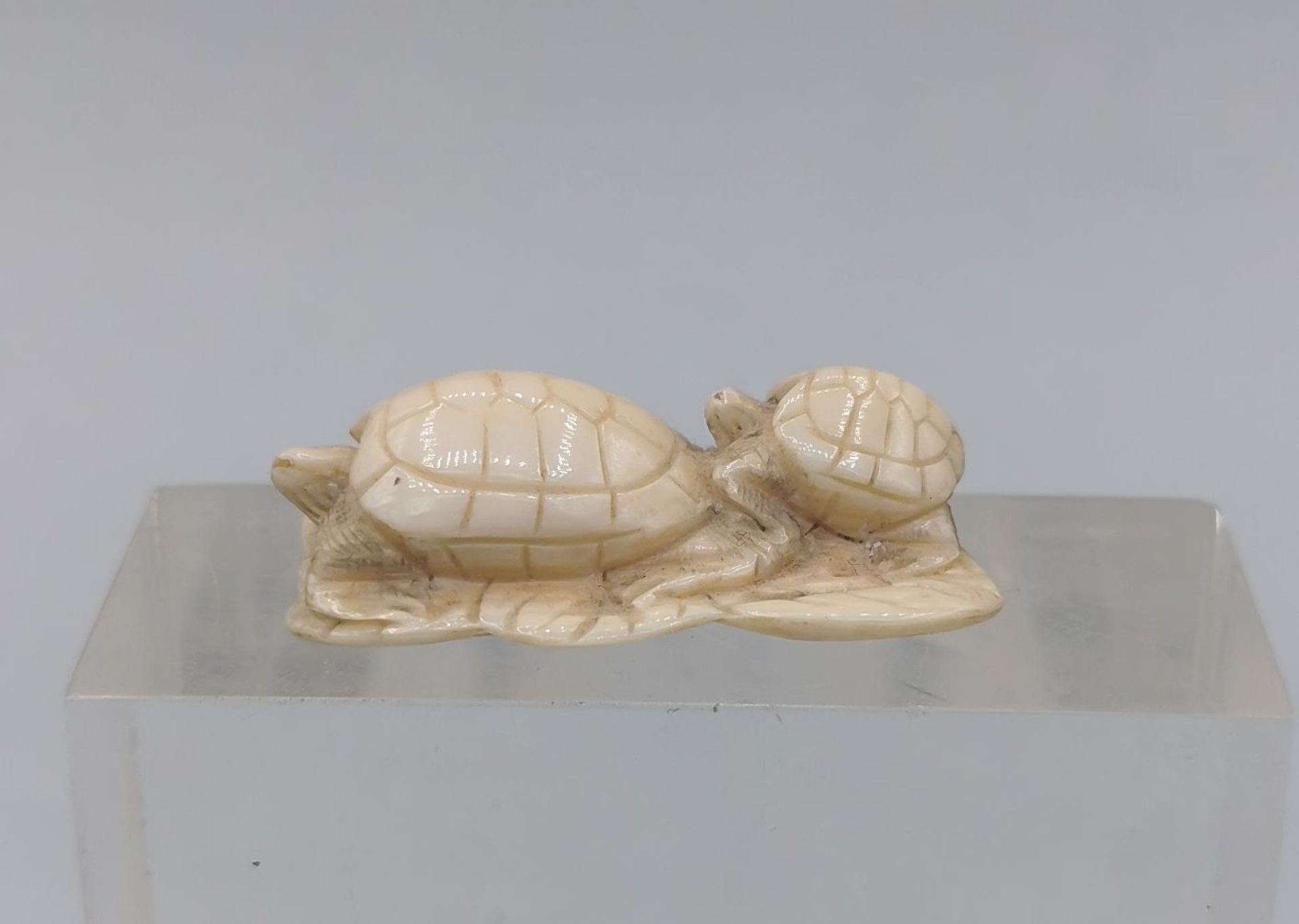 NETSUKE:  TURTLES