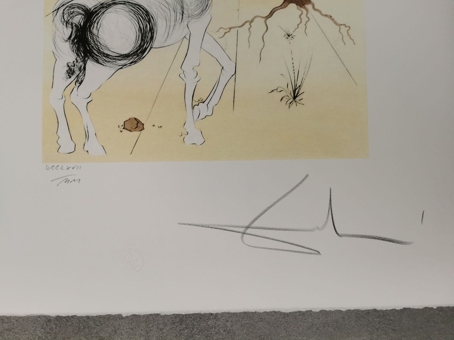 SALVADOR DALI - GRAFIK - Bild 2 aus 3