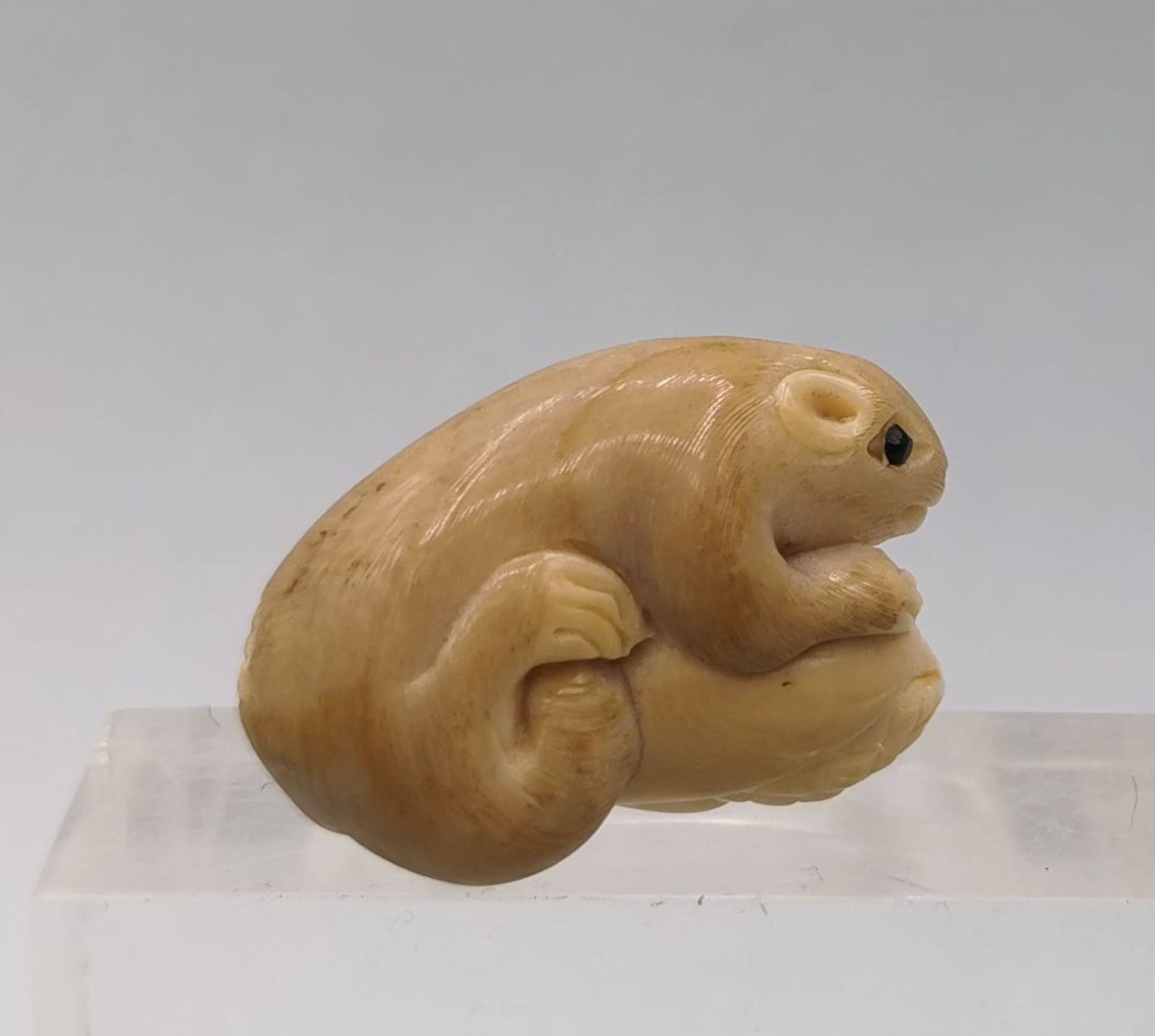 NETSUKE: MOUSE WITH CORNCOB - Image 3 of 5