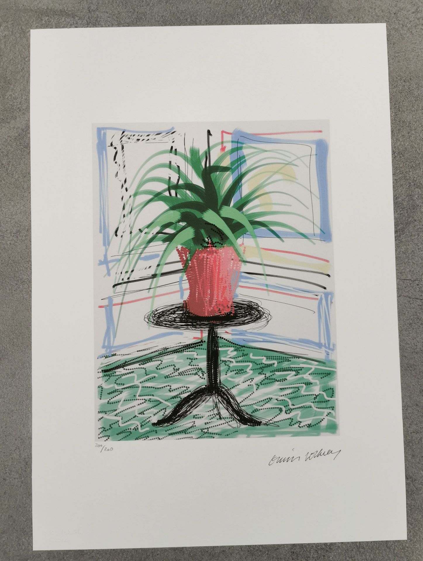 DAVID HOCKNEY GRAPHICS