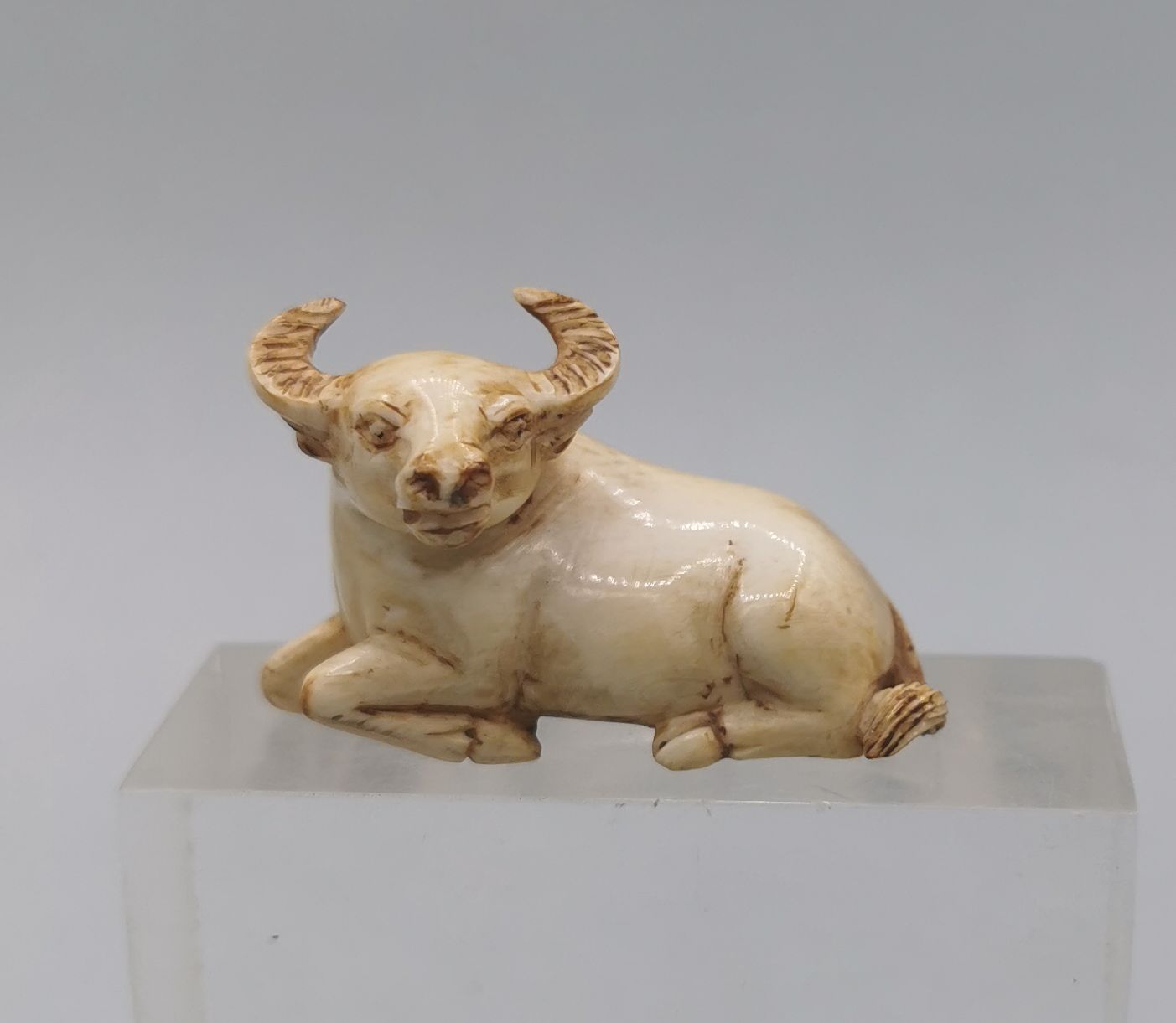 NETSUKE / OKIMONO: LYING BUFFALO