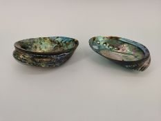 2 PAUA-MUSCHELN