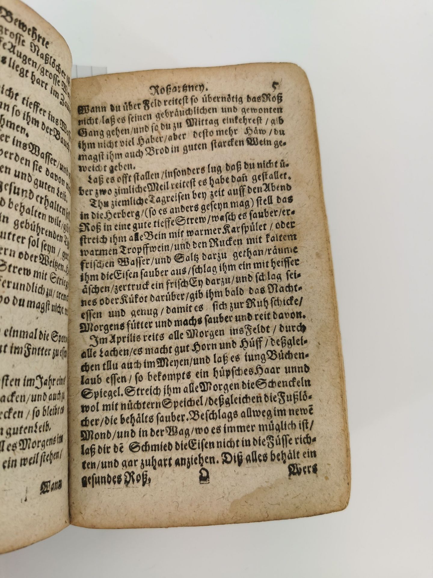 VETERINÄRMEDIZINISCHES FACHBUCH von 1658 - Bild 3 aus 4