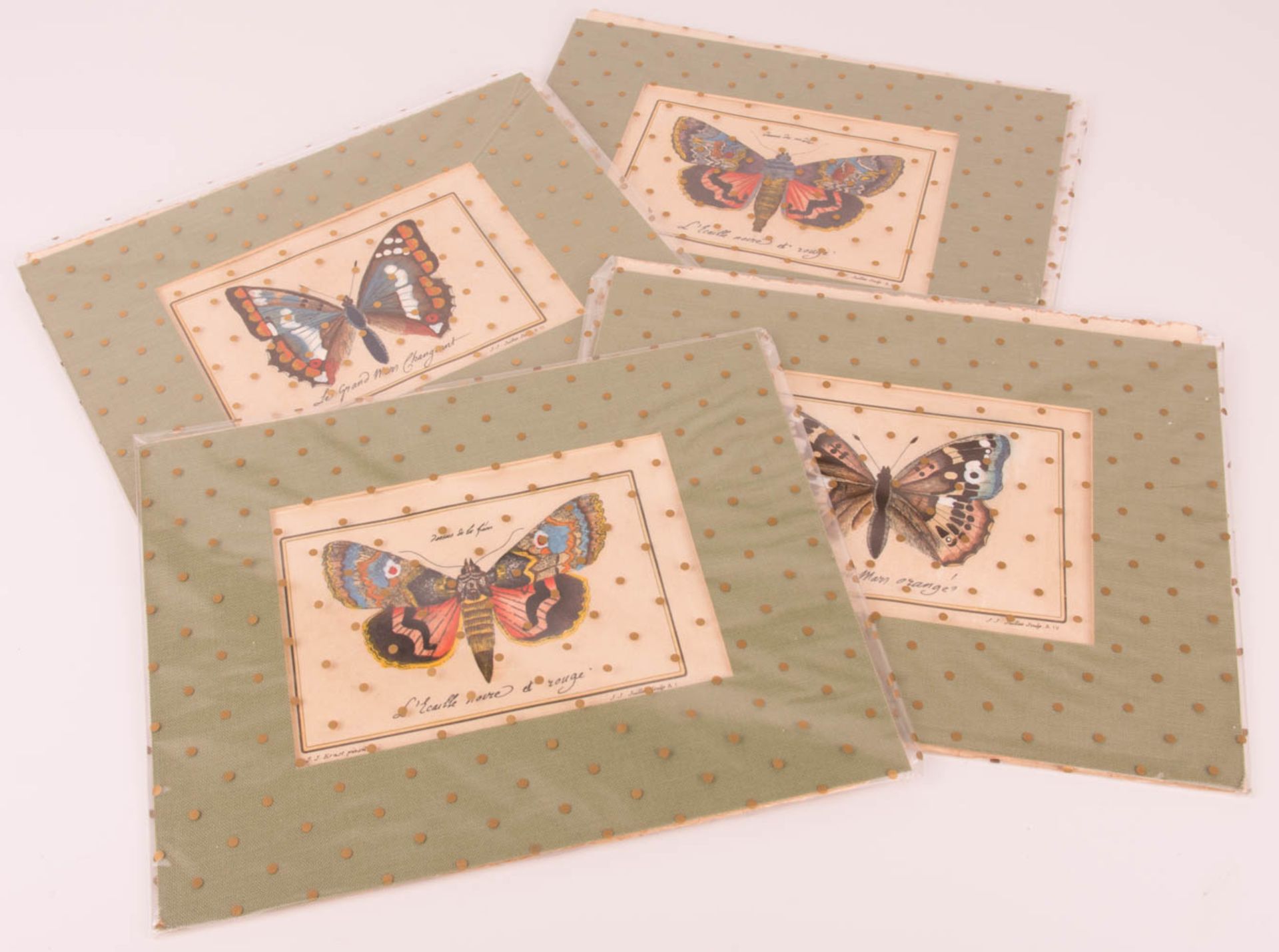 J. J. Juillet, four colored butterfly prints in passe-partout.