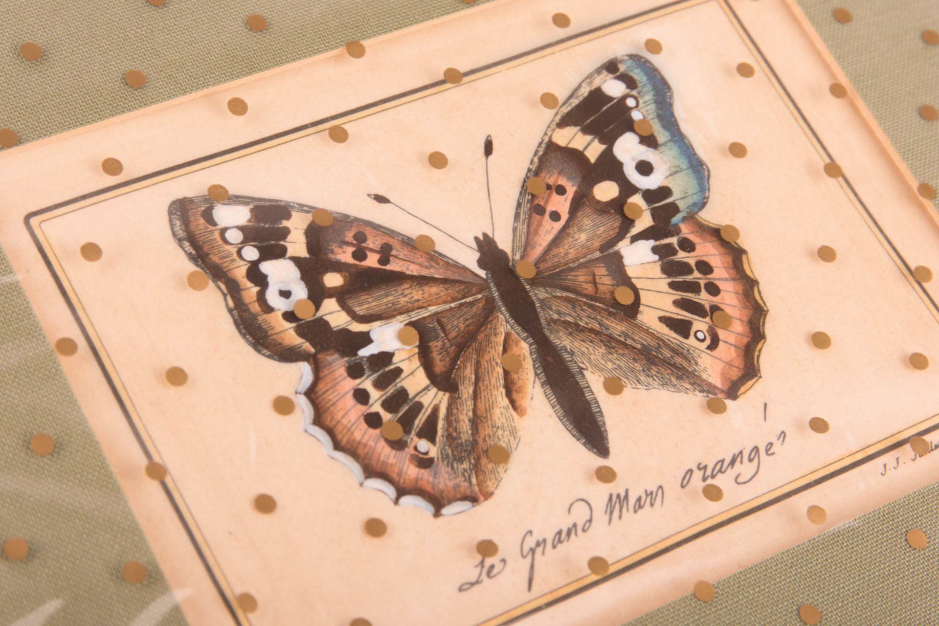 J. J. Juillet, four colored butterfly prints in passe-partout. - Image 3 of 7