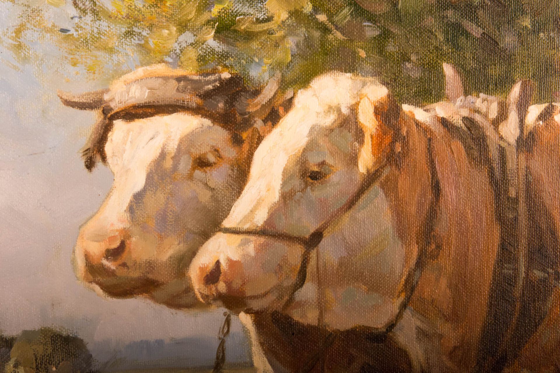 Hans Nickel, zwei Kühe am Pflug, Öl auf Leinwand, 20. Jhd. - Bild 3 aus 5