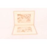 Zwei chinesische Buchseiten