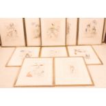 Konvolut Salvador Dalí