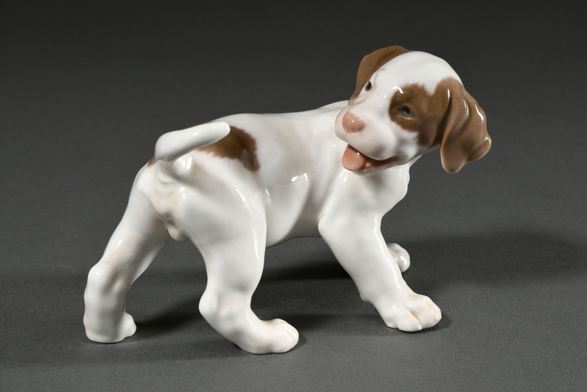 4 Various Bing & Gröndahl figures "St. Bernard, Pointer, Sealyham Terrier Puppies" with polychrome  - Image 2 of 13