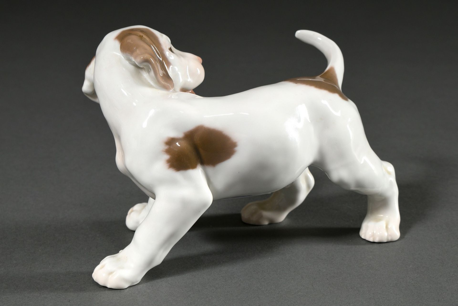 4 Various Bing & Gröndahl figures "St. Bernard, Pointer, Sealyham Terrier Puppies" with polychrome  - Image 3 of 13