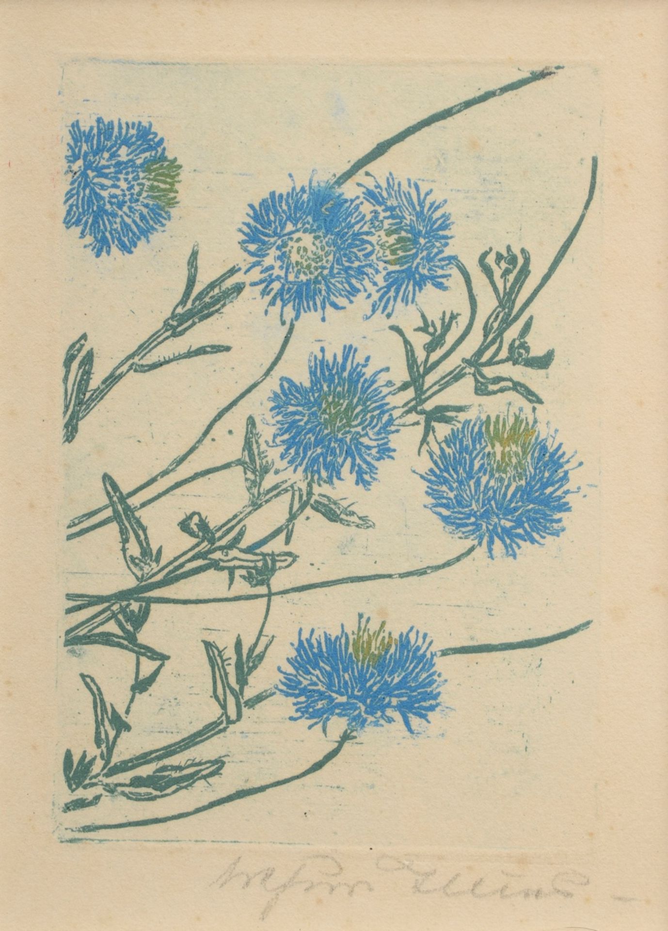 Illies, Arthur (1870-1952) „Schafsrapunzel“ 1932, Farbradierung in blau/grün, u.r. sign., PM 11,4x8