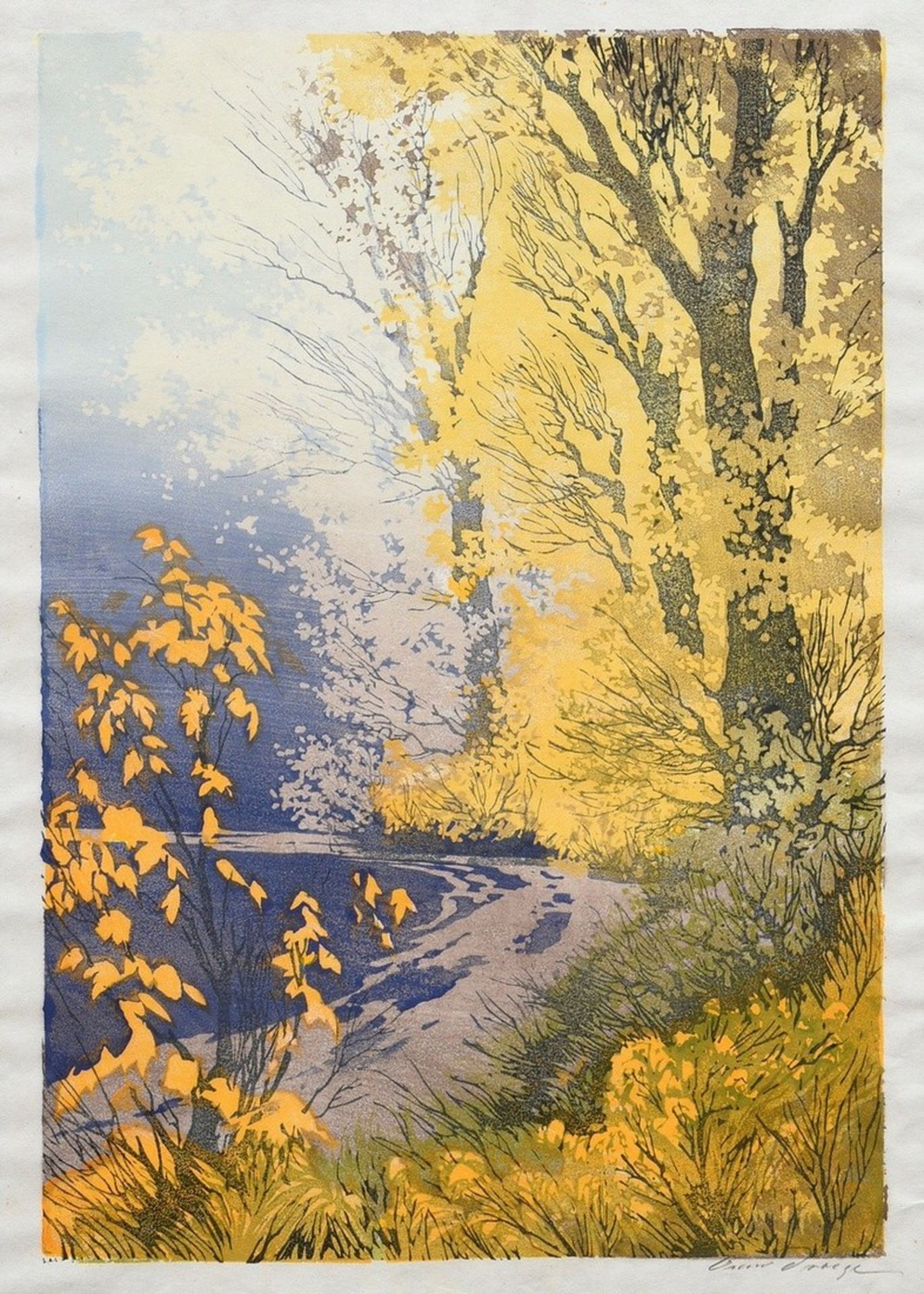 Droege, Oskar (1898-1983) "Seeufer im Herbst", u.r. sign., PM 43x29,2cm (m.R. 66,5x50,5cm), min. we