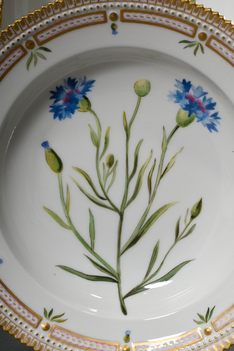 6 deep Royal Copenhagen "Flora Danica" plates with polychrome painting in the mirror and gold decor - Image 5 of 15