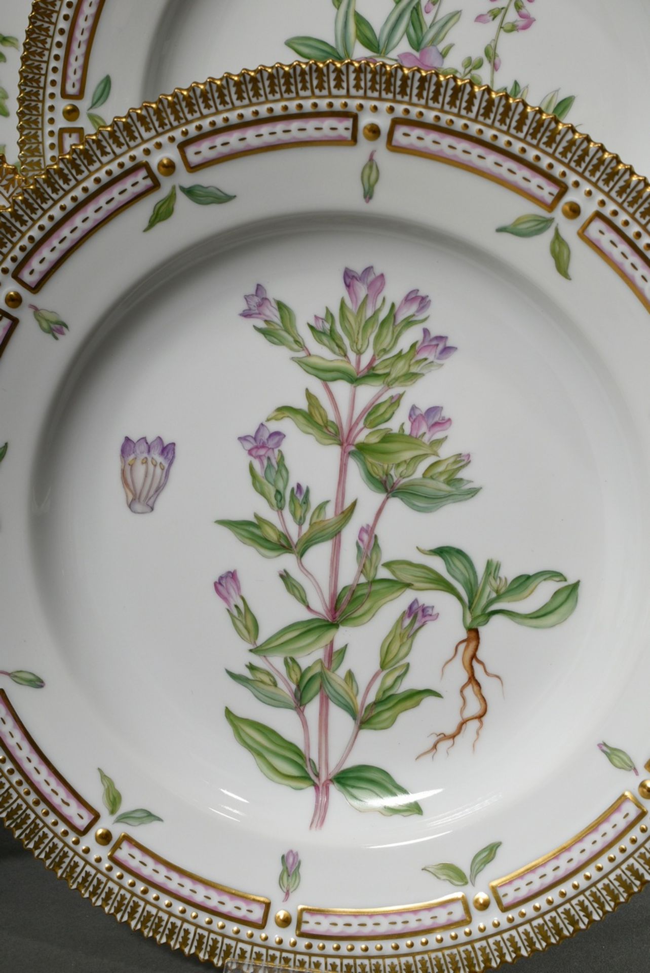 6 Royal Copenhagen "Flora Danica" dinner plates with polychrome painting in the mirror and gold dec - Image 4 of 15