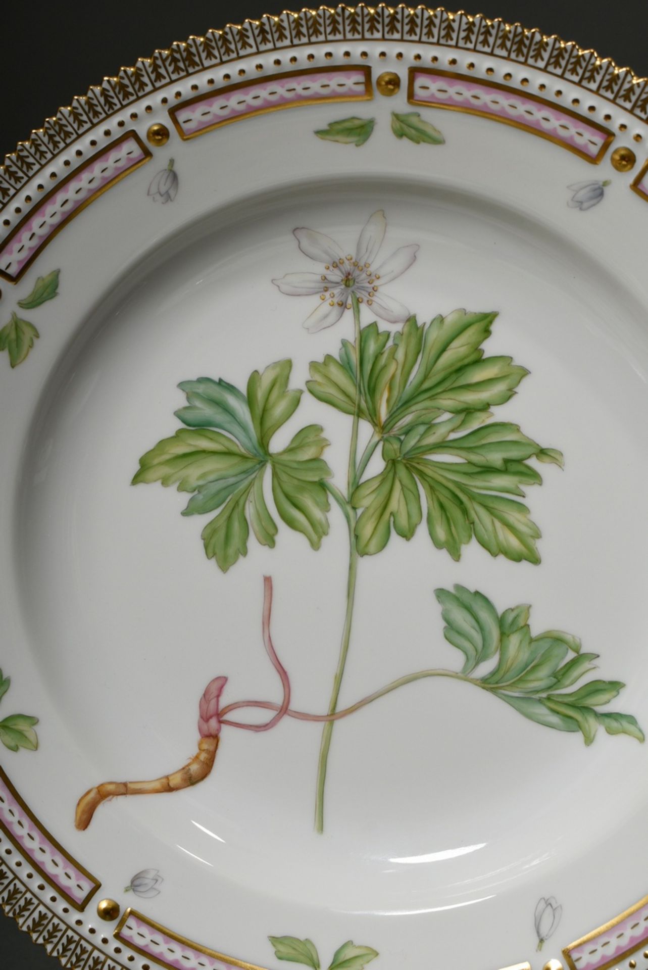 6 Royal Copenhagen "Flora Danica" dinner plates with polychrome painting in the mirror and gold dec - Image 9 of 15