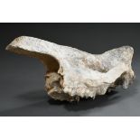 Fossiler, versteinerter Schädel eines Wollnashorns "Coelodonta", ohne Unterkiefer, Fundort Gansu/Ch