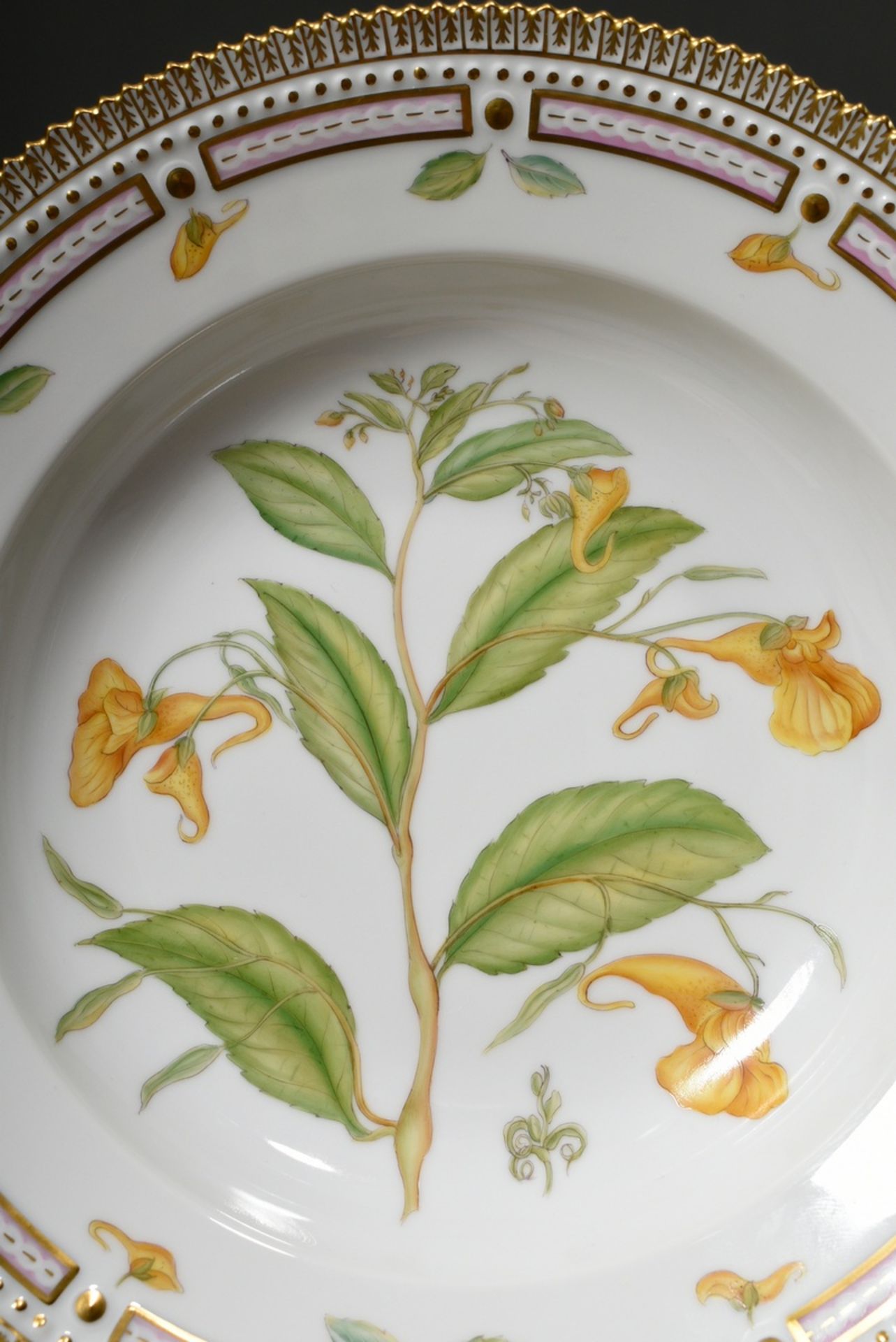 7 Royal Copenhagen "Flora Danica" plate with polychrome painting in the mirror and gold decorated s - Image 7 of 17