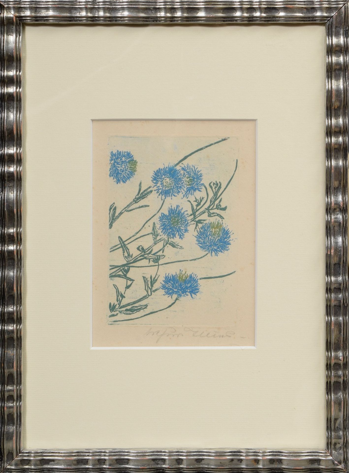 Illies, Arthur (1870-1952) „Schafsrapunzel“ 1932, Farbradierung in blau/grün, u.r. sign., PM 11,4x8 - Bild 2 aus 3