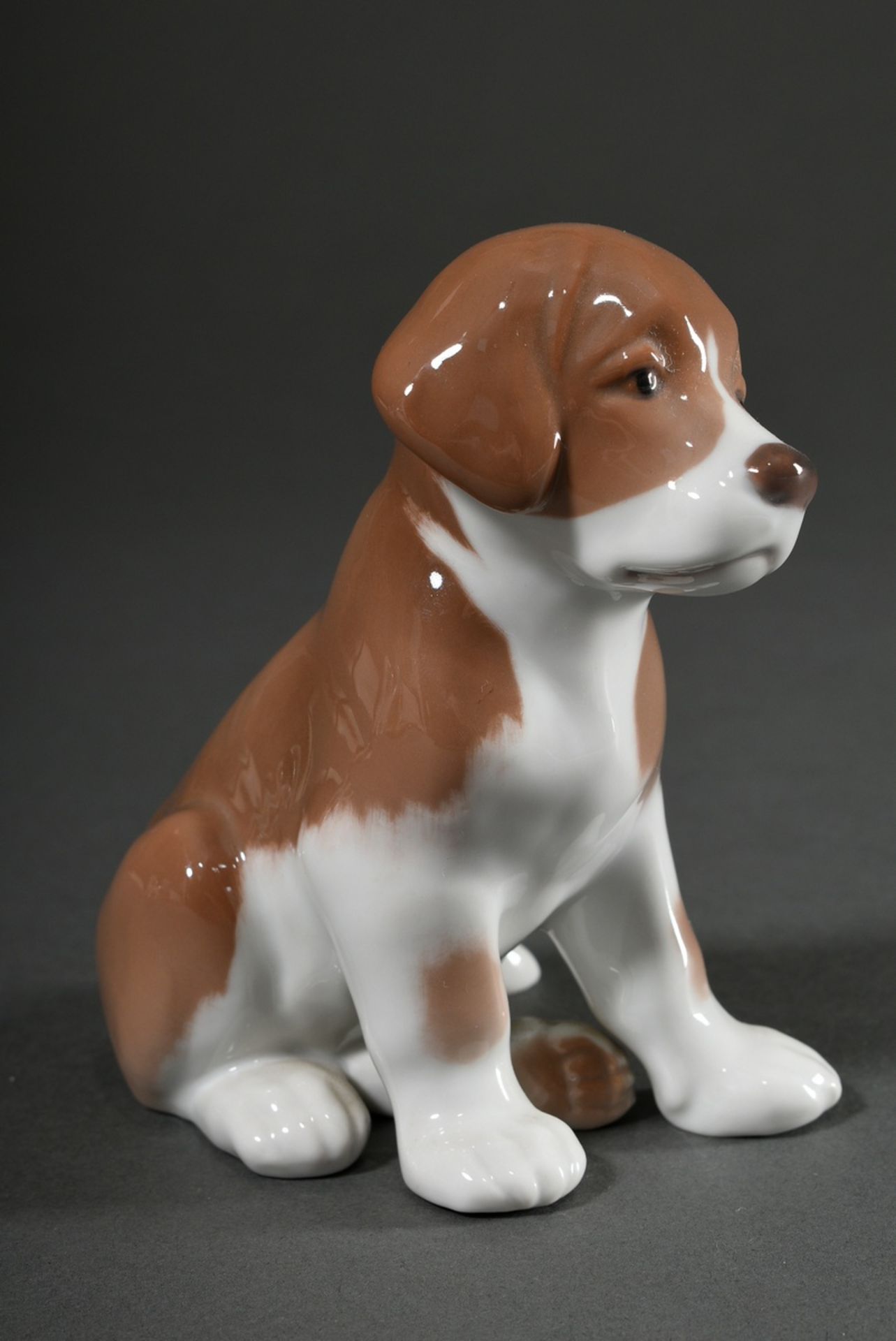 4 Various Bing & Gröndahl figures "St. Bernard, Pointer, Sealyham Terrier Puppies" with polychrome  - Image 6 of 13