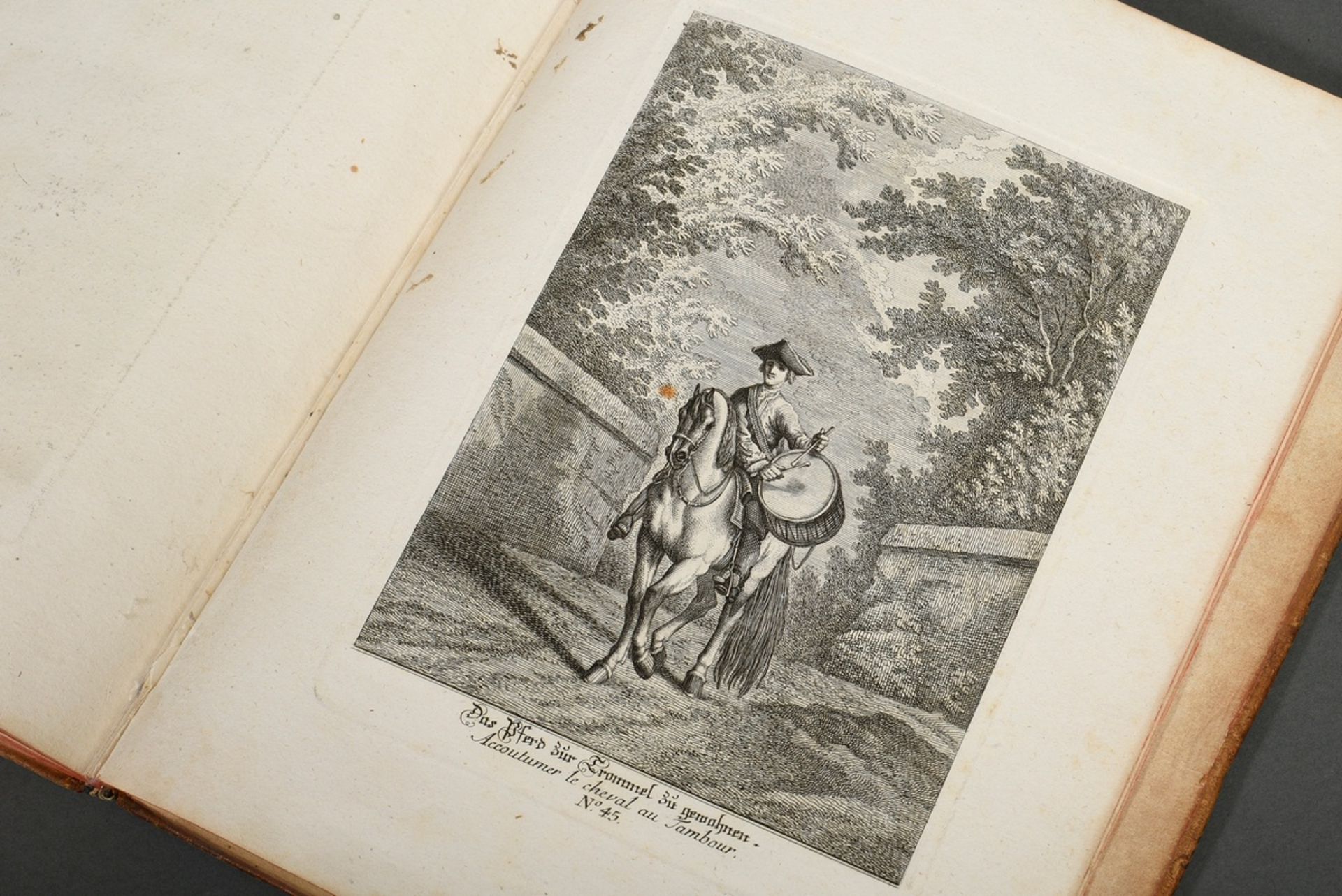 Volume "Vorstellung und Beschreibung derer Schul und Campagne Pferden nach ihren Lectionen..." 1760 - Image 6 of 7