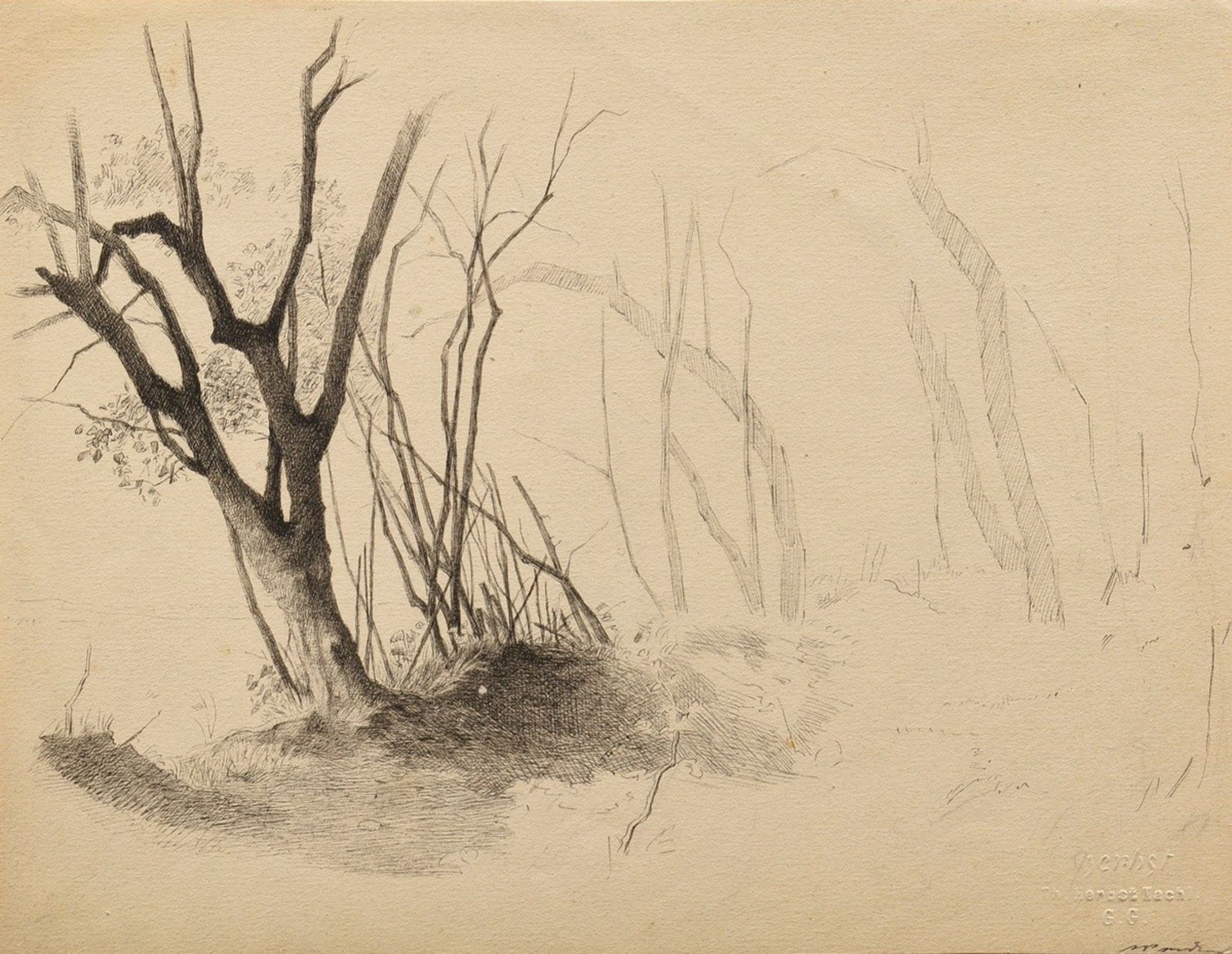 Herbst, Thomas (1848-1915) "Baum" verso "Gesicht", Federstudie, Nachlassprägestempel, im Passeparto