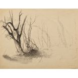 Herbst, Thomas (1848-1915) "Baum" verso "Gesicht", Federstudie, Nachlassprägestempel, im Passeparto