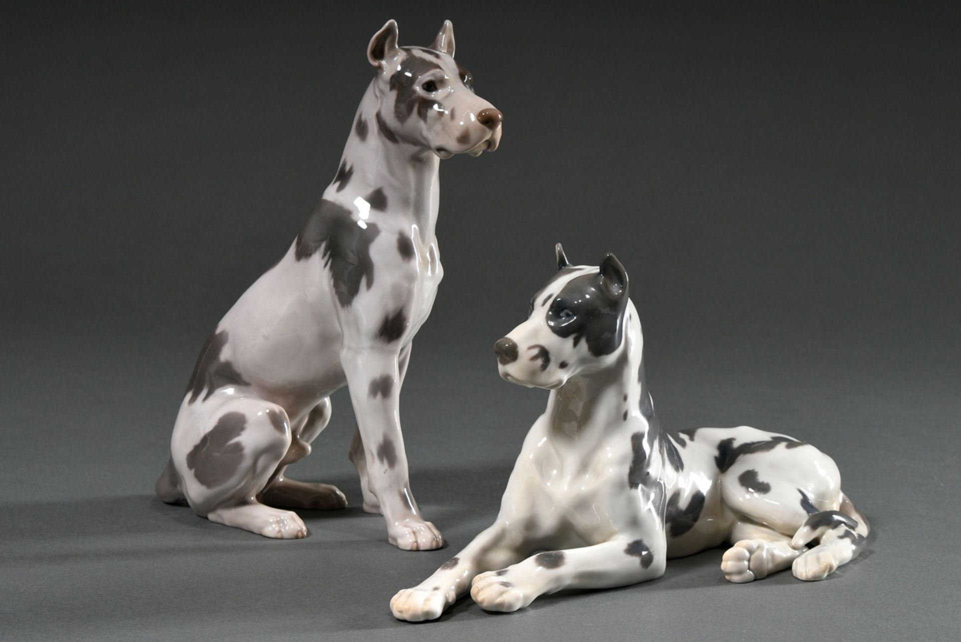 2 Diverse Bing & Gröndahl Figuren "Deutsche Doggen" mit polychromer Unterglasurbemalung, Modellnr. 