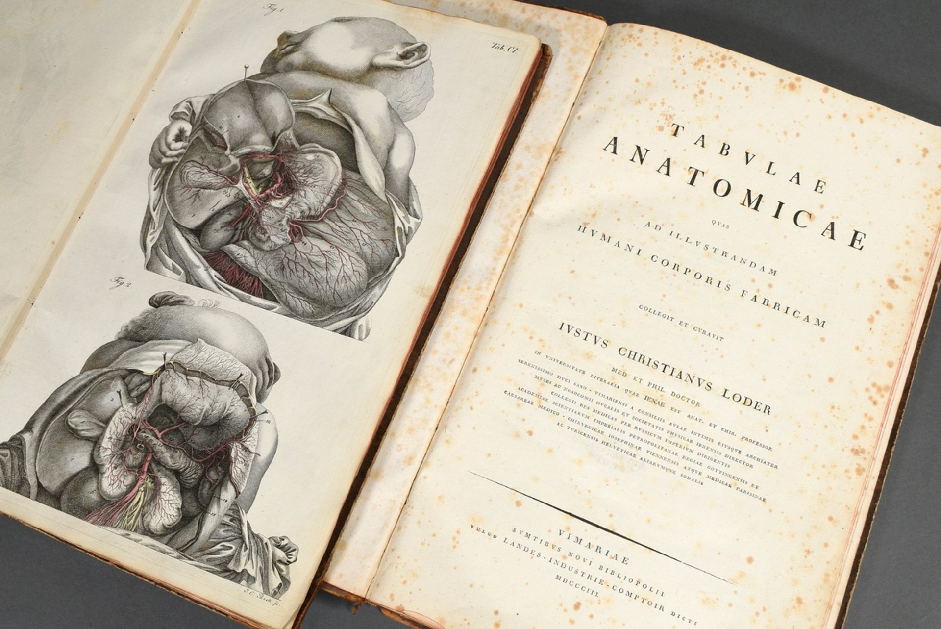 2 volumes Justus Christian von Loder "Tabularum Anatomicarum/ Volumen I und II" 1803, half-leather 